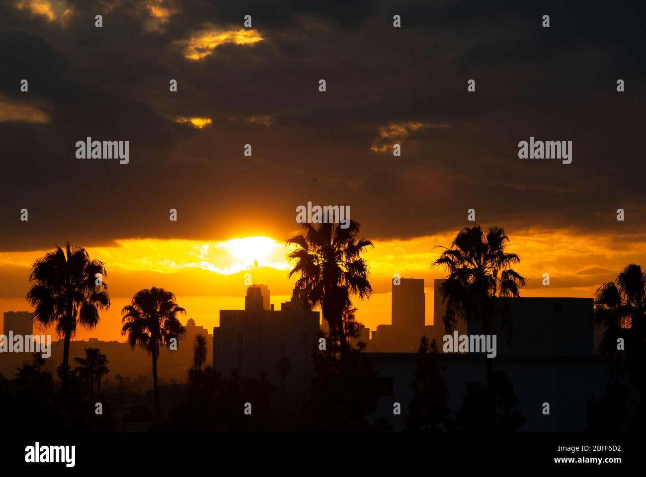 Tempestoso e spettacolare tramonto dorato con palme che si affaccia su Hollywood, Los Angeles, California Foto Stock