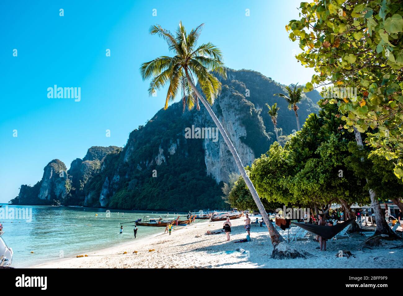 Costa e scogliere di Phi Phi Island, provincia di Krabi, Thailandia Foto Stock