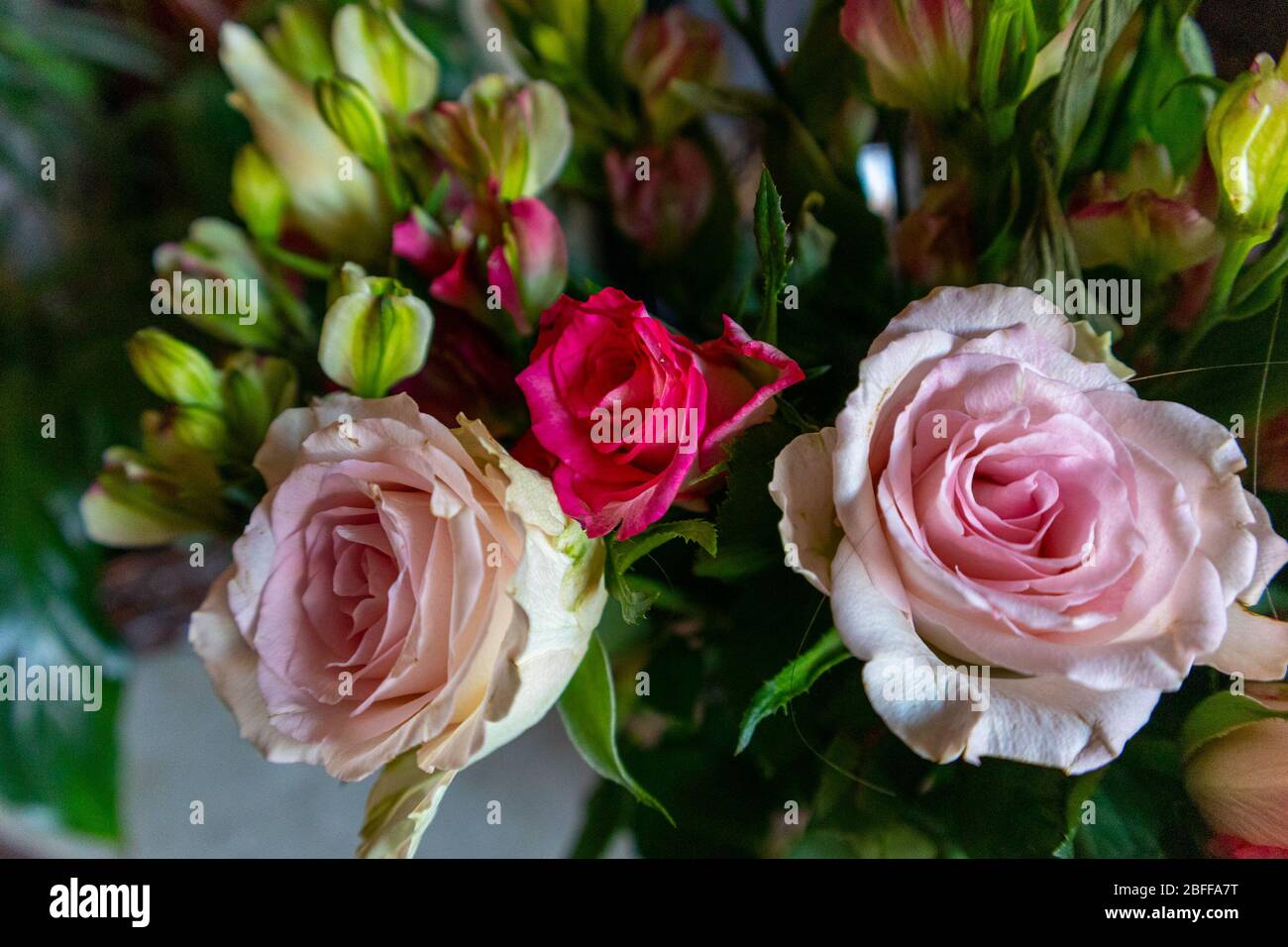 Un gruppo di fiori Foto Stock