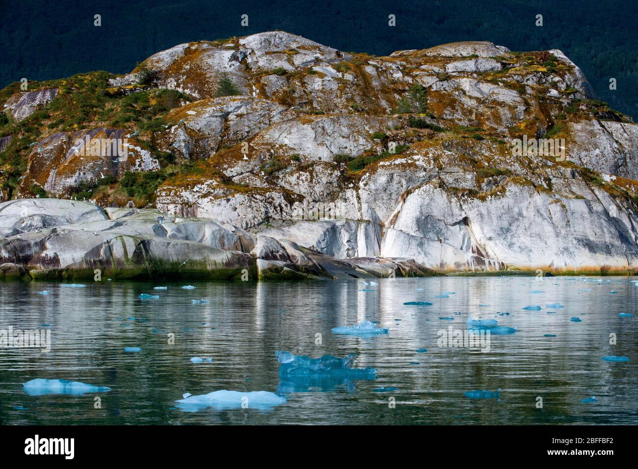 Ghiacciaio Amalia ai margini del canale del Sarmiento - ghiacciaio Skua - Parco Nazionale Bernardo o'Higgins in Patagonia Cile fiordi vicino a Puerto Natales, C. Foto Stock