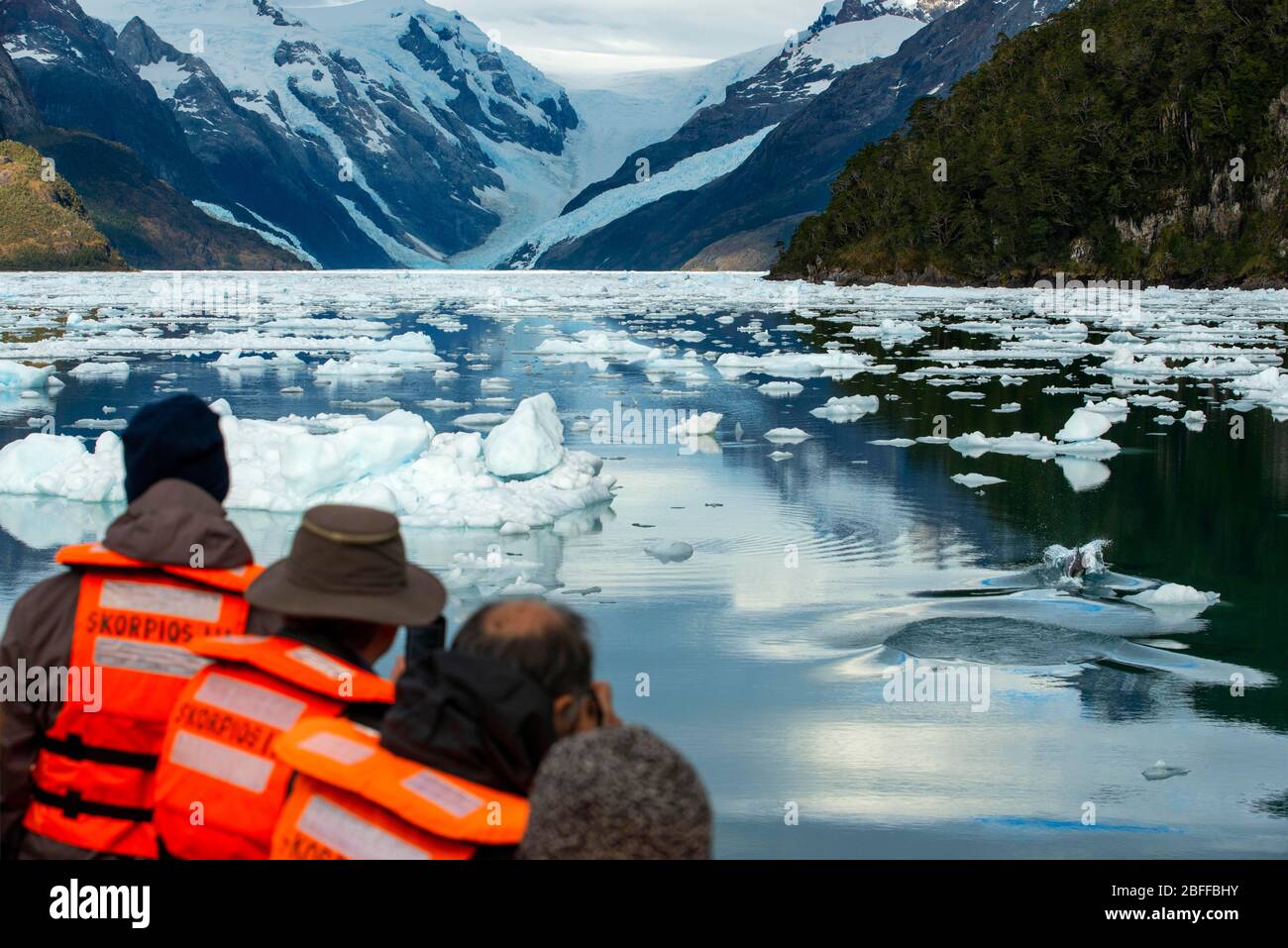 Turisti che guardano i delfini nella crociera rompighiaccio Capitan Constantino al Fjord Calvo sul bordo del canale del Sarmiento a Bernardo o'Higgins nati Foto Stock