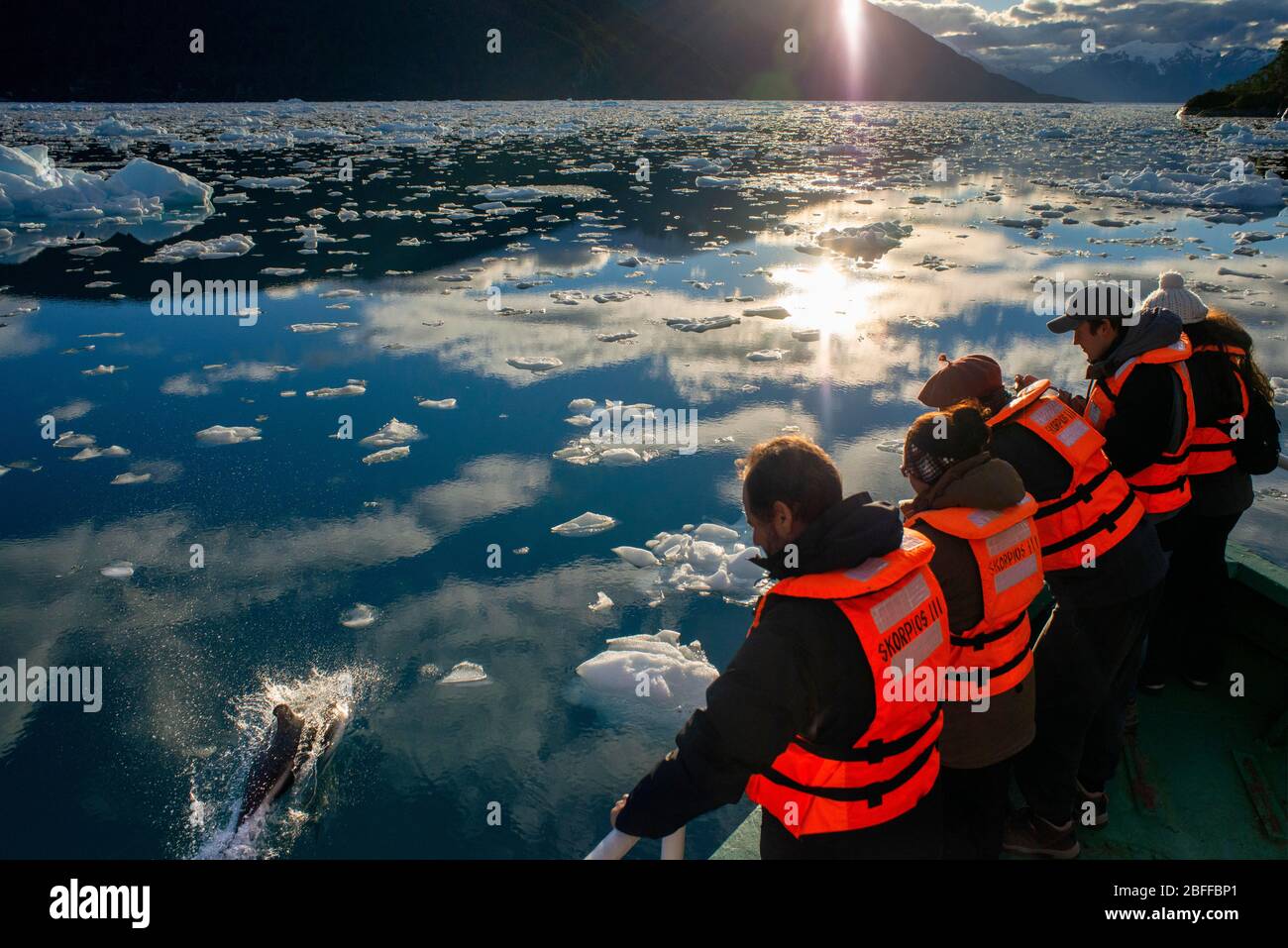 Turisti che guardano i delfini nella crociera rompighiaccio Capitan Constantino al Fjord Calvo sul bordo del canale del Sarmiento a Bernardo o'Higgins nati Foto Stock