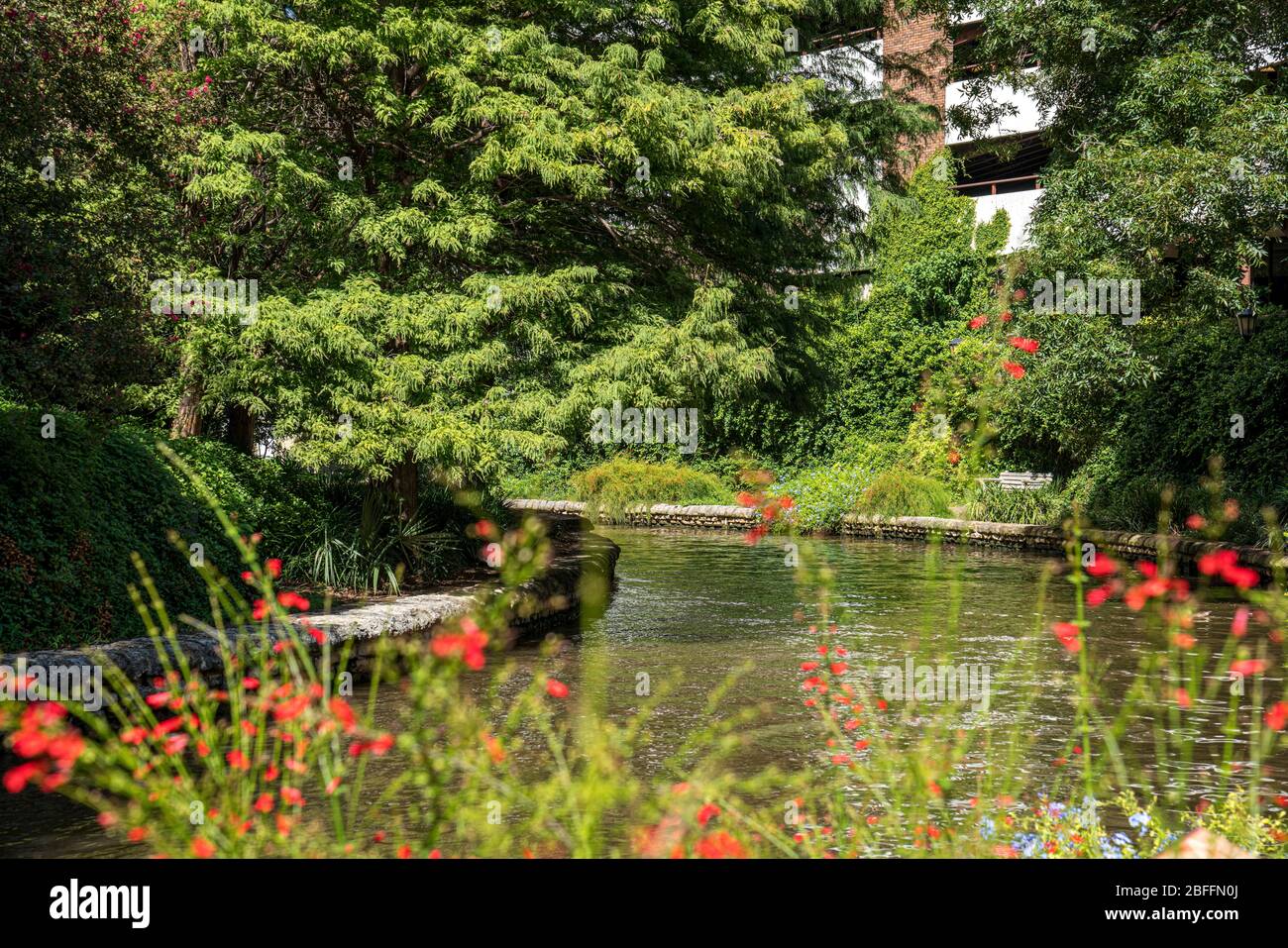 San Antonio Riverwalk, San Antonio, Texas Foto Stock