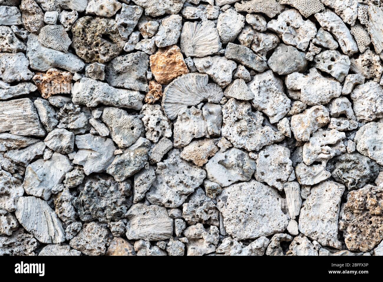 Parete in pietra testurizzata, costruita con pezzi di spugna marina nativa. Vicino alla spiaggia di Sanur, Bali, Indonesia. Foto Stock