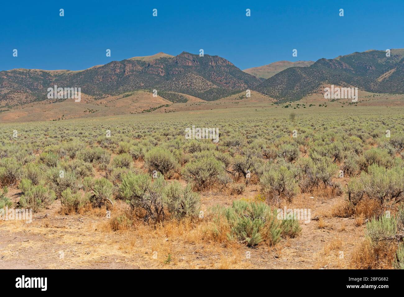 Great Basin View lungo la Loneliest Highway in America sulla Route 50 in Nevada, Foto Stock