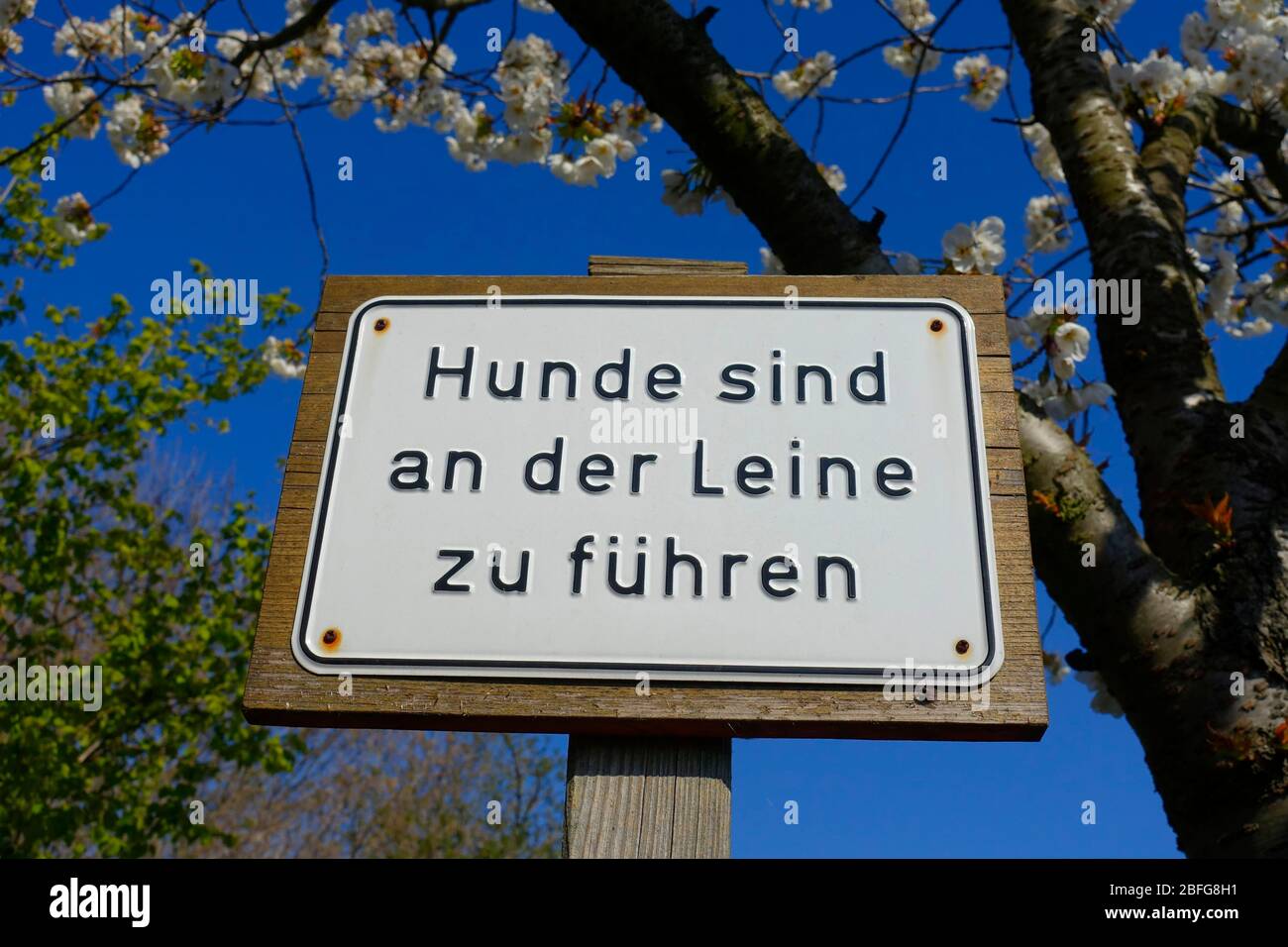 Firma con regole di condotta, i cani devono essere tenuti al guinzaglio, Germania Foto Stock