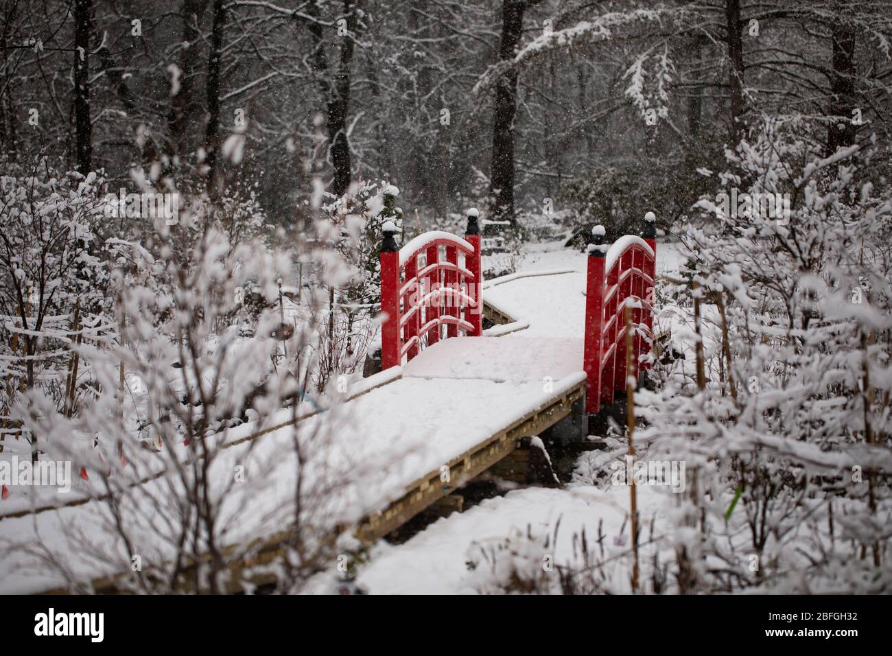 Un ponte di legno rosso nel mezzo di una neve di primavera all'Arboretum in Acton, Massachusetts, Stati Uniti. Foto Stock