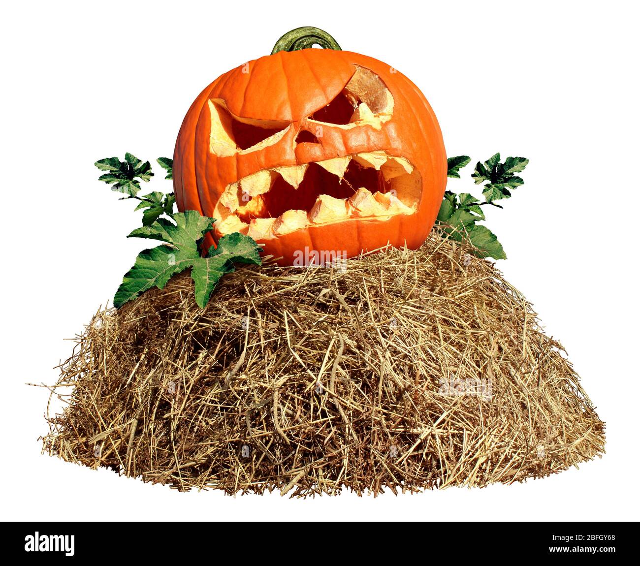 Mucchio di Halloween Hay con una zucca intagliata isolata su uno sfondo bianco come un'azienda agricola e simbolo di agricoltura del tempo di raccolta con erba secca. Foto Stock