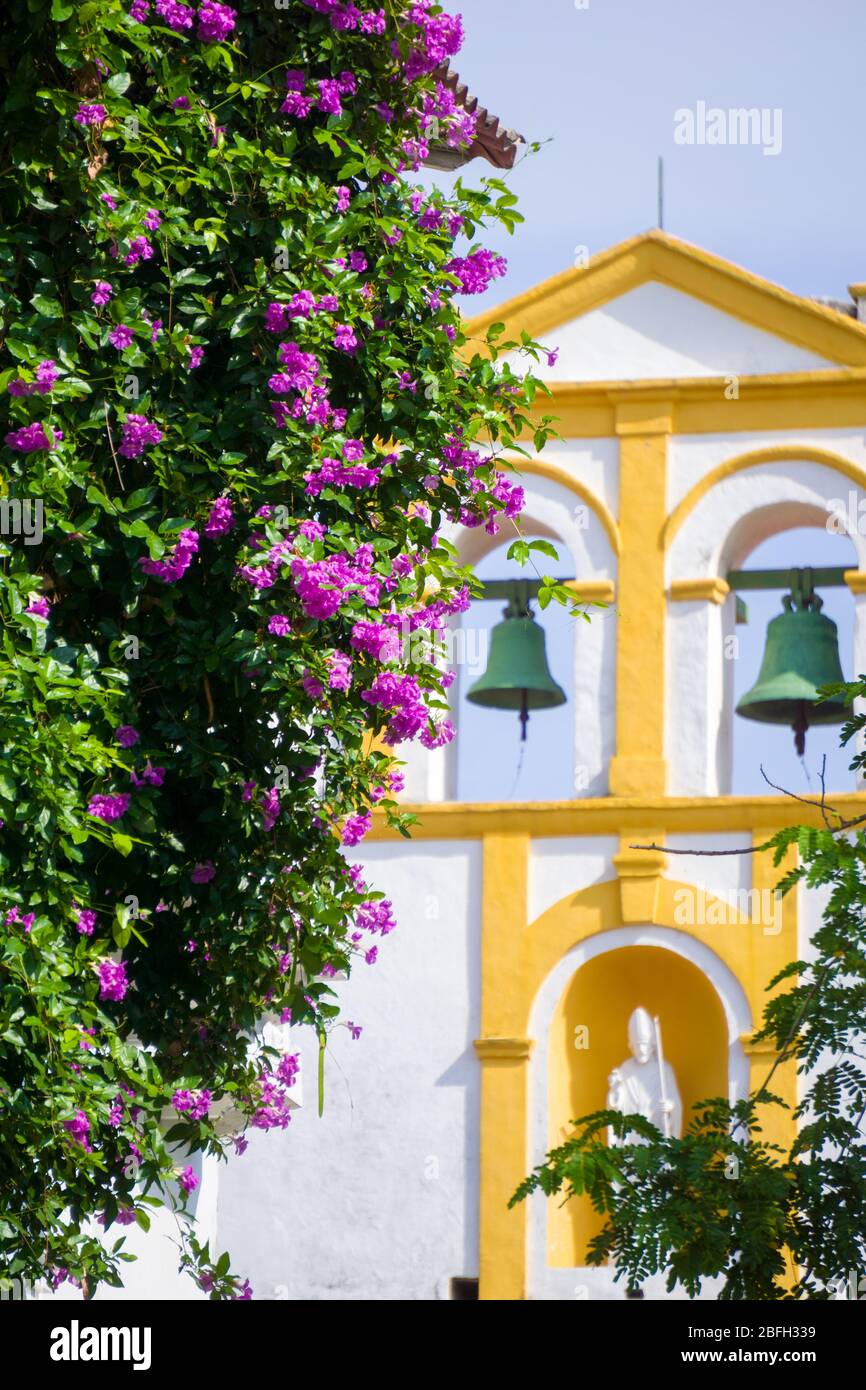 fiori e chiesa di santo toribio cartagena colombia Foto Stock