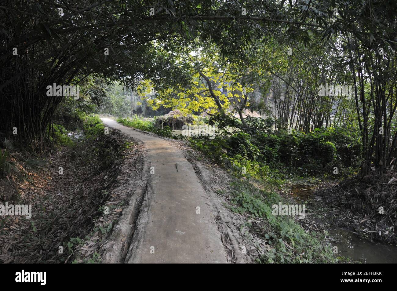 paesaggio rurale a ovest rurale bengala india Foto Stock