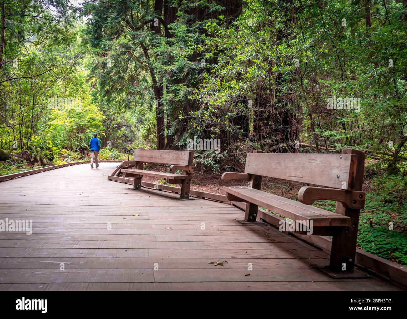 Vista posteriore di un uomo non identificato che cammina da solo nel parco. Foto Stock