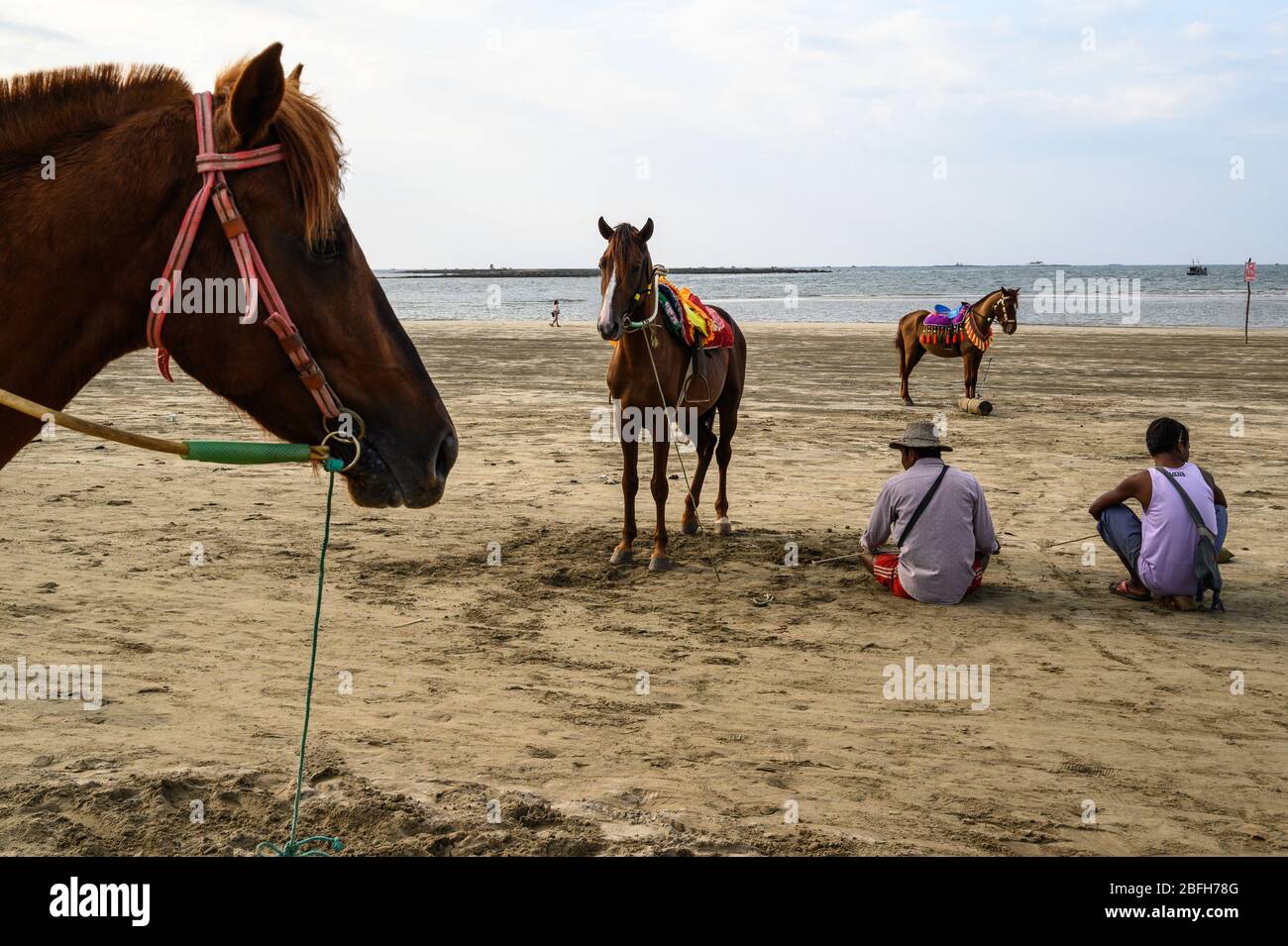 Cavalli e i loro cavalieri sulla spiaggia, Chaung Tha, Myanmar Foto Stock