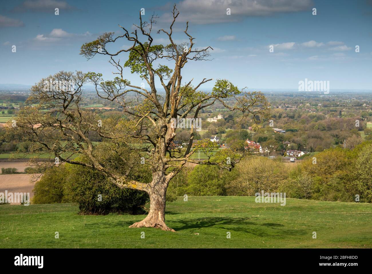Regno Unito, Inghilterra, Cheshire, Astbury, Ackers Crossing, vista elevata della Great Moreton Hall in Cheshire Plain dal South Cheshire Way Path Foto Stock