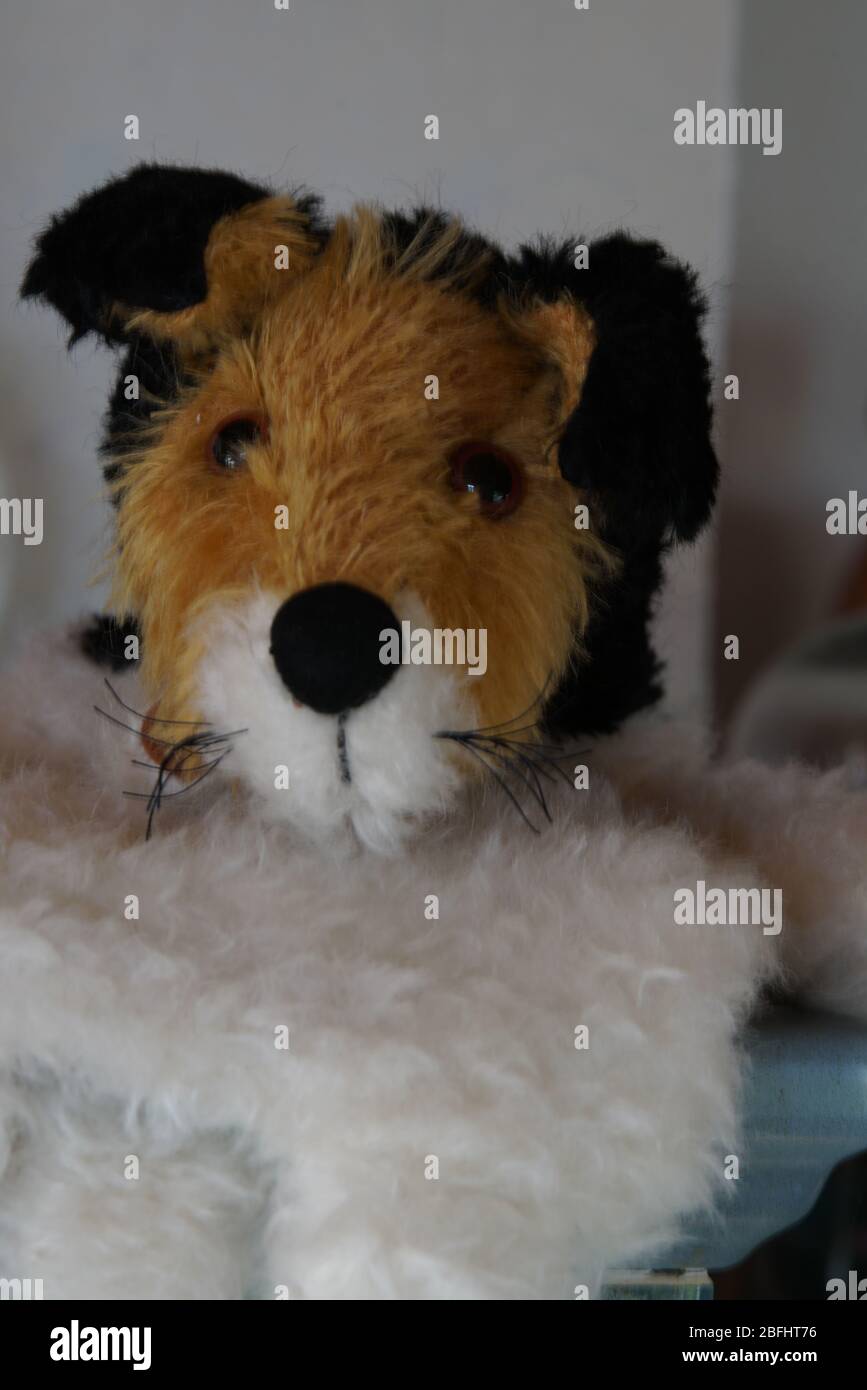 Stoffhund Handpuppe Foto Stock