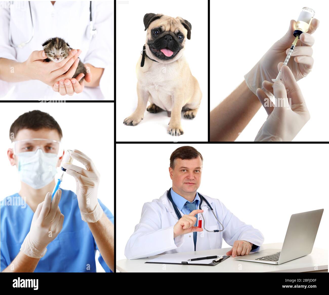 Vaccinazione e trattamento degli animali, collage Foto Stock