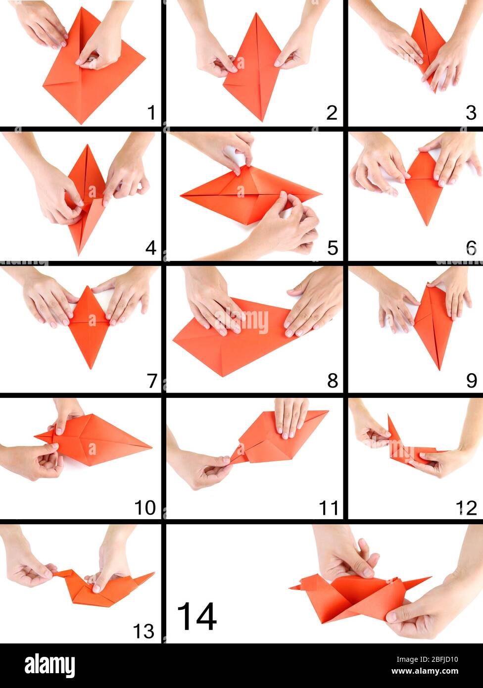 Origami uccello di carta. Istruzioni per il montaggio Foto Stock