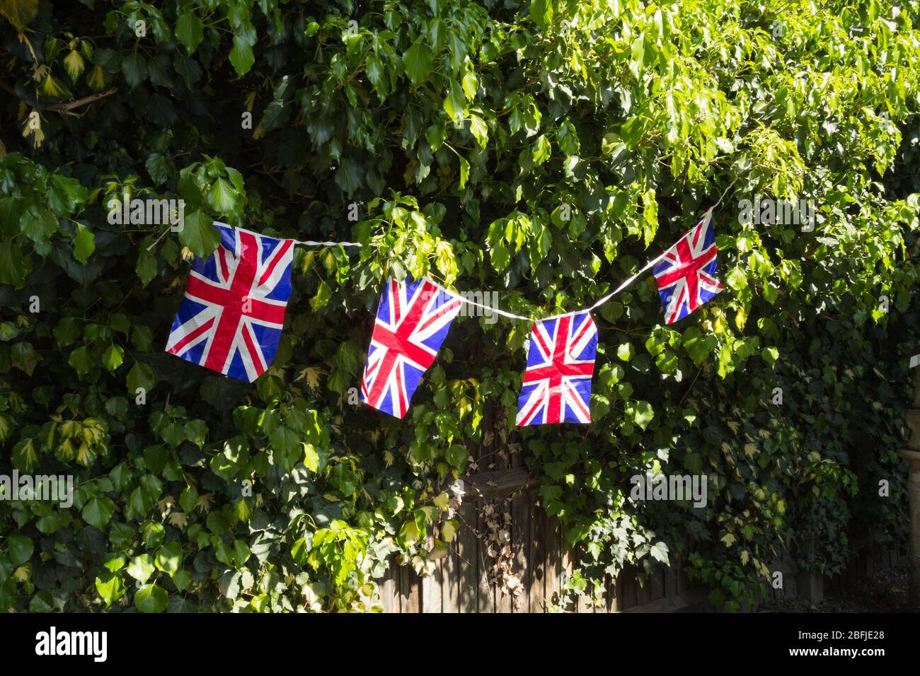 Una fila di piccole bandiere Union Jack incastonate contro il fogliame verde e una recinzione a traliccio di legno Foto Stock