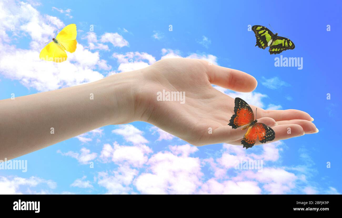 Mani umane con farfalla su sfondo cielo Foto Stock