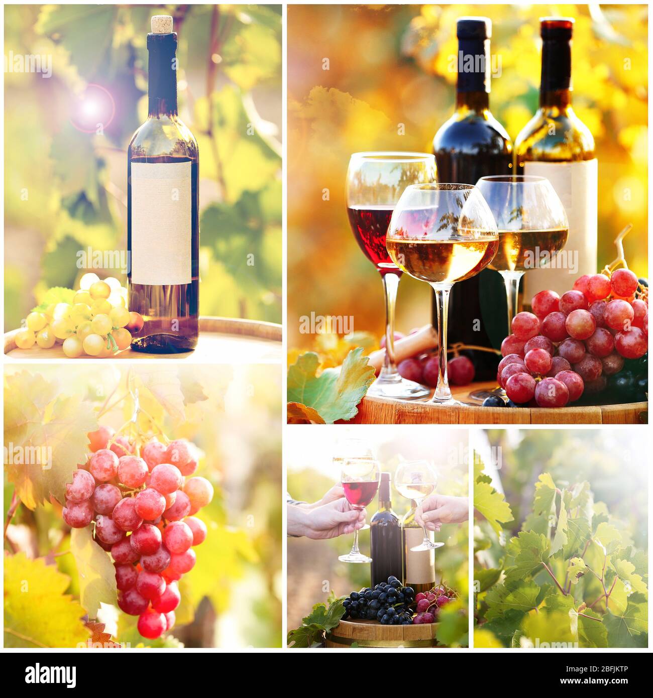 Collage di vino e vigneto Foto Stock