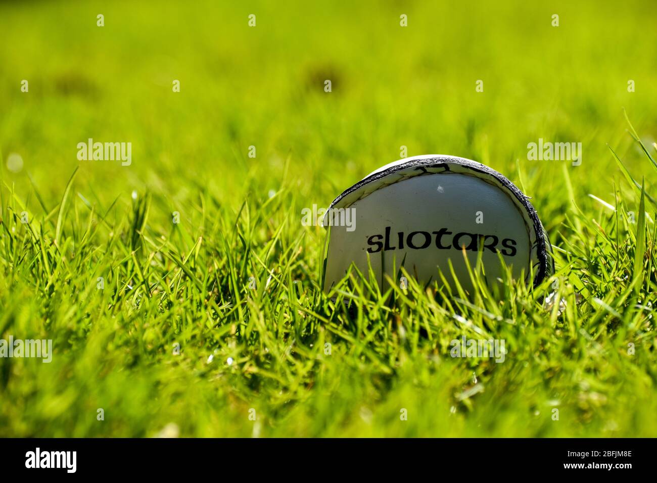 Irish Hurling o Camogie Sliotar palla su un campo da gioco erba Foto Stock