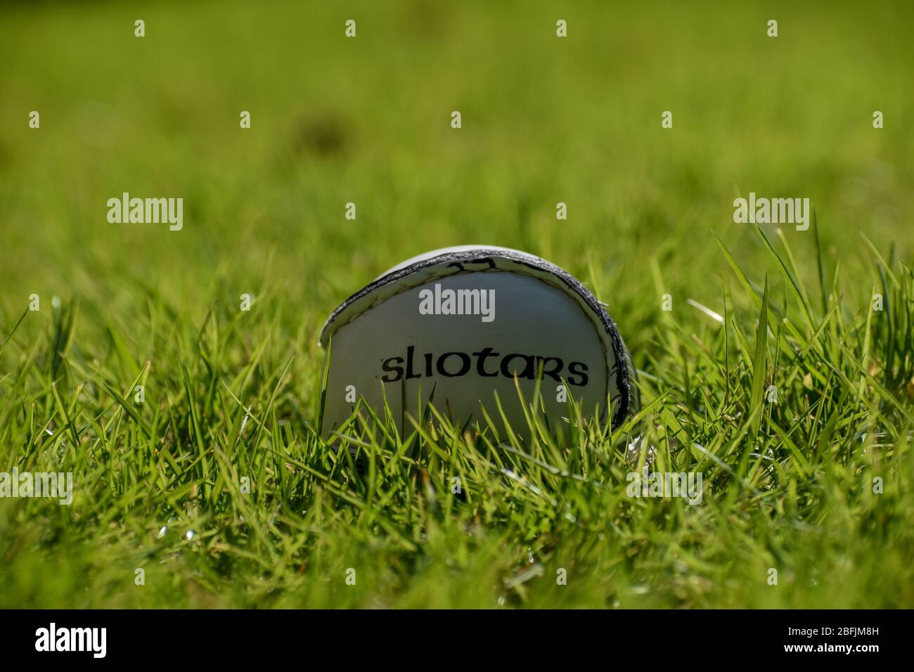 Irish Hurling o Camogie Sliotar palla su un campo da gioco erba Foto Stock
