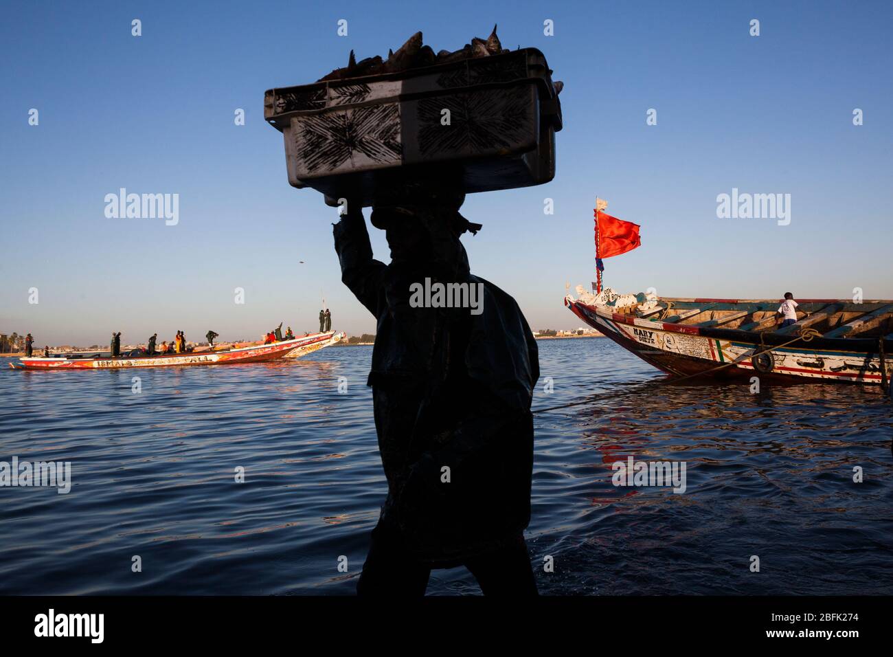 Pescatore che scarica il pescato della giornata a Guet Ndar, Saint Louis, Senegal. Foto Stock