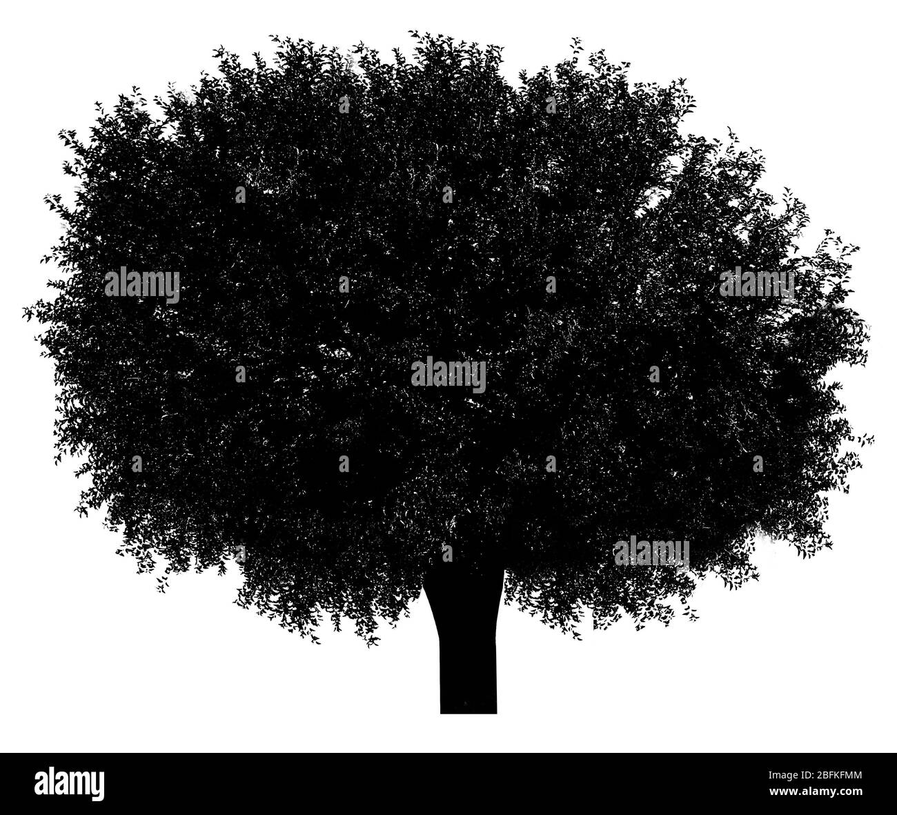 Silhouette ad albero nero, isolata su bianco Foto Stock