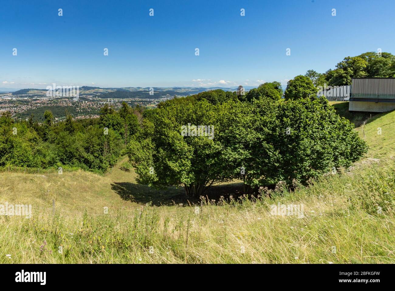 Berna, Svizzera - 30 luglio 2019: Veduta aerea della capitale svizzera dalla cima del Parco del Gurten. Piacevole giornata estiva soleggiato. Foto Stock