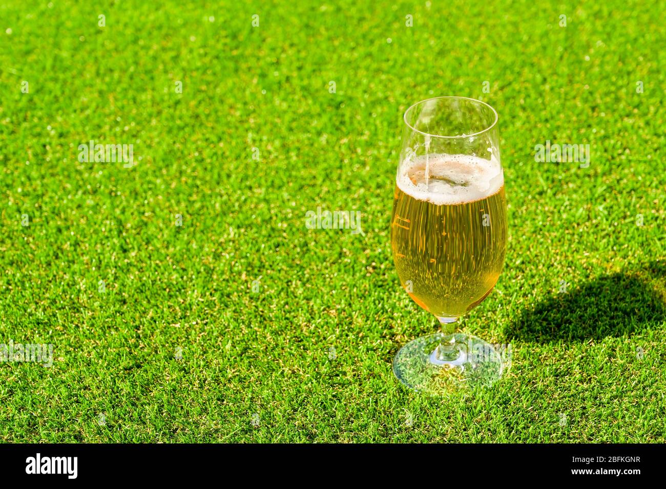 Bicchiere di birra dorata lager in piedi su un prato di erba verde corto, spazio per copia a sinistra. Foto Stock
