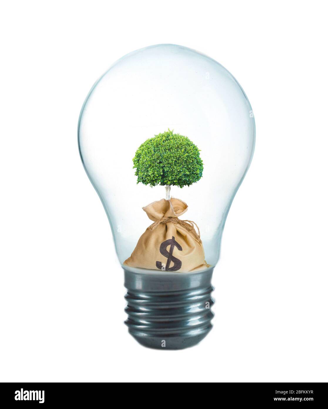 Concetto di energia ecologica. Albero che cresce all'interno di lampadina, isolato su bianco Foto Stock