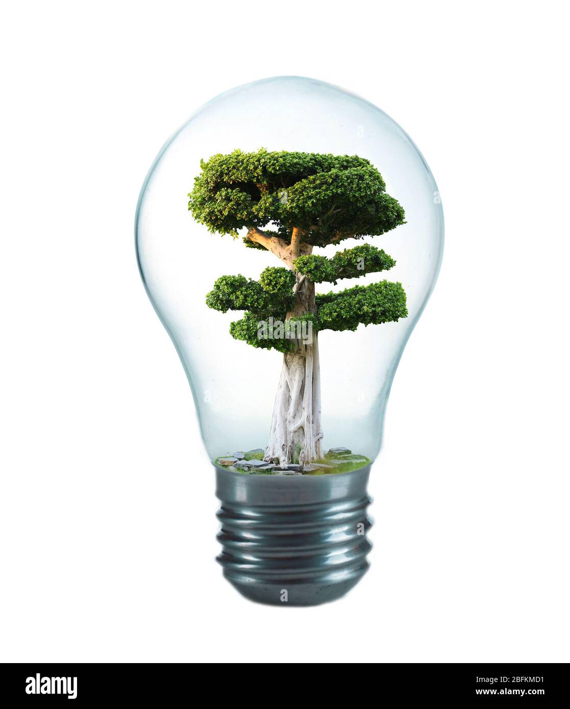 Concetto di energia ecologica. Albero che cresce all'interno di lampadina, isolato su bianco Foto Stock