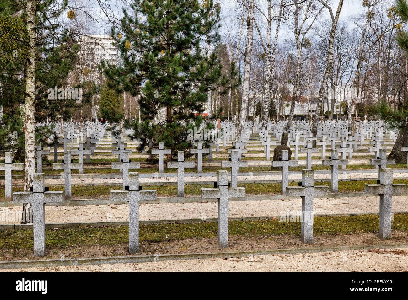 Varsavia, Polonia - Marzo 2020: Tombe di soldati nel Cimitero militare di Powazki Foto Stock