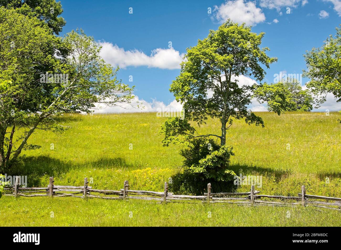 Paesaggio rurale scena, bucolico, fiori selvatici, erba verde, alberi, recinzione di spartitura, Brush Mountain, Hensley Settlement; Cumberland Gap National Histori Foto Stock