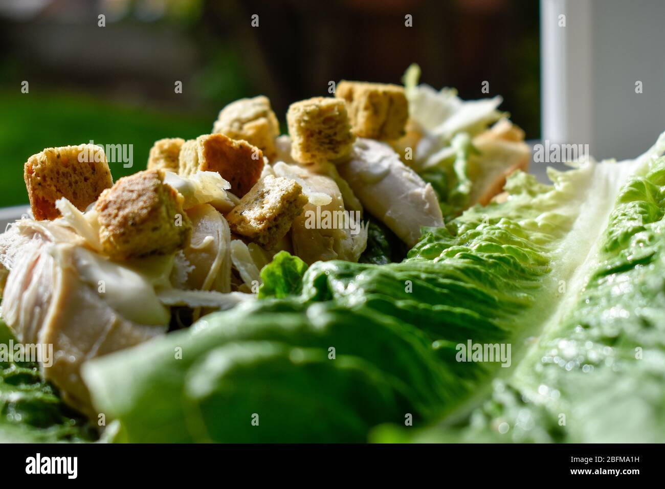 Primo piano di un panino caesar Foto Stock