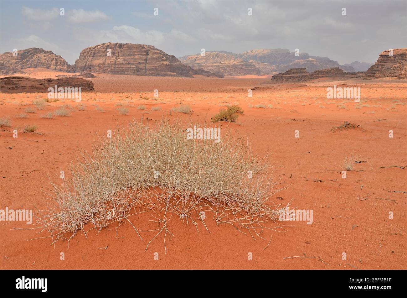 Vista panoramica del paesaggio desertico, Wadi Rum, Giordania meridionale, immedle East Foto Stock