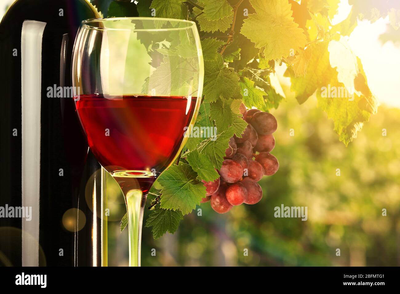 Vino rosso in vetro e bottiglia su sfondo naturale Foto Stock