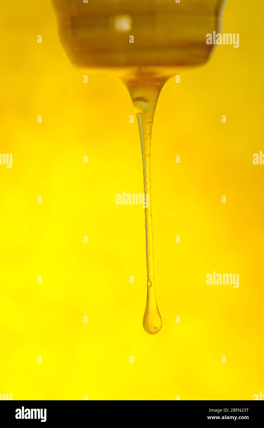 Il gocciolamento miele dorato. Miele di arancio spruzzi. Miele di caduta di flusso Foto Stock