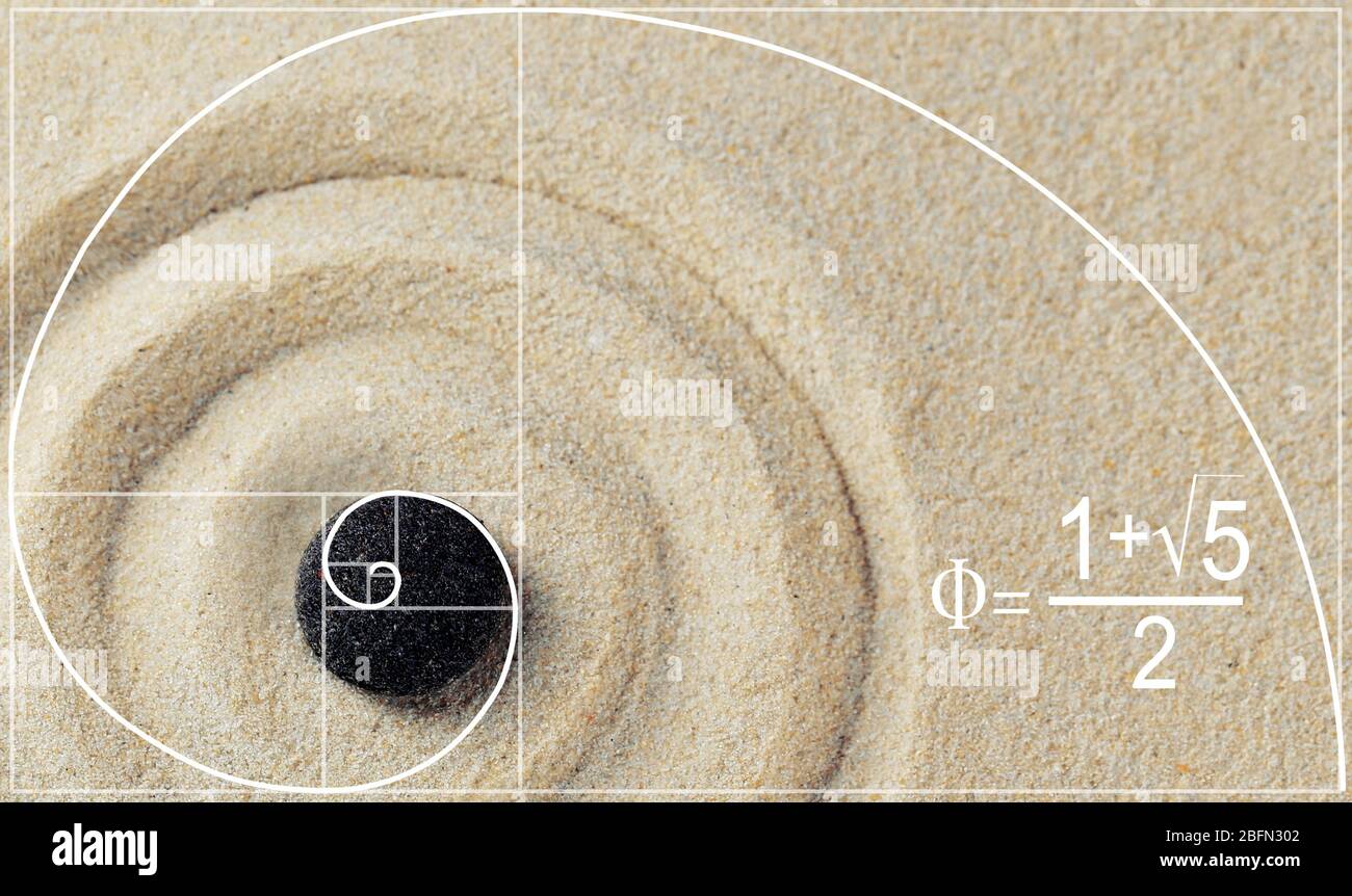 Illustrazione del rapporto d'oro in natura. Modello Fibonacci Foto Stock