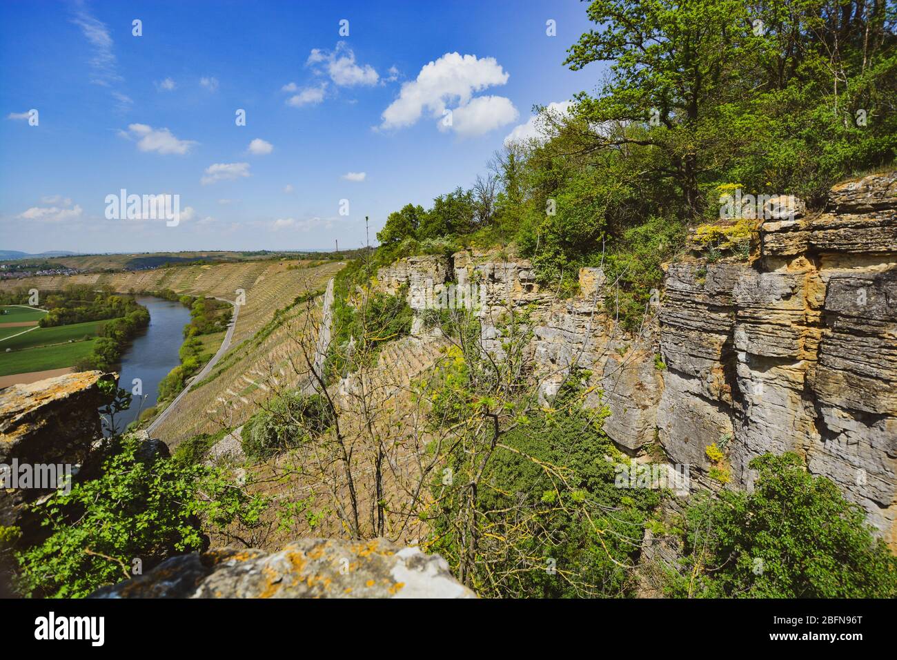 Vigneto che domina il fiume Neckar, paesaggio di Hessigheim, Germania Foto Stock