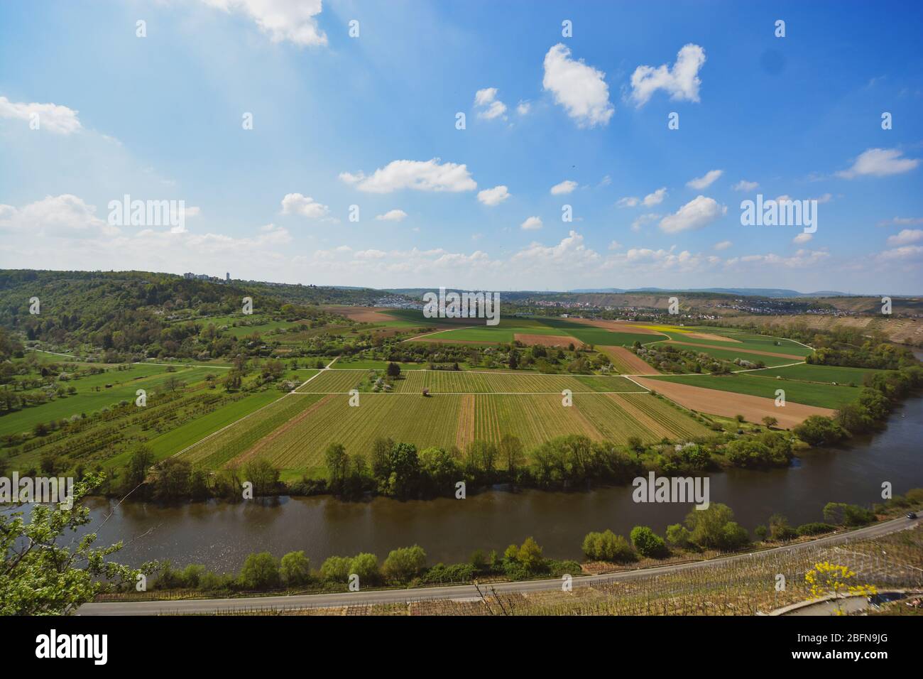 Vigneto che domina il fiume Neckar, paesaggio di Hessigheim, Germania Foto Stock