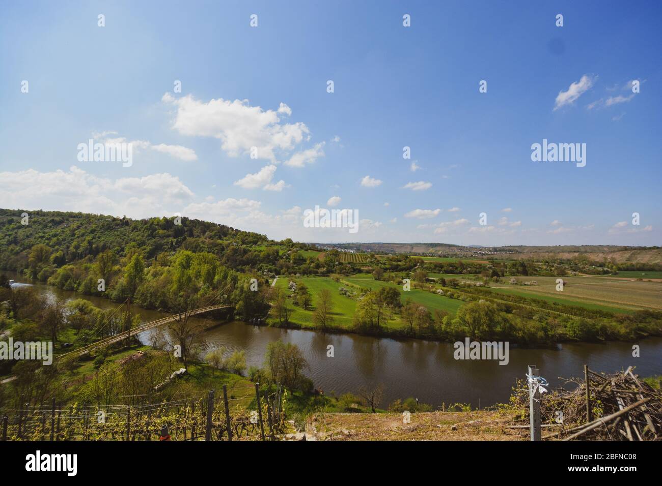 Vigneto che domina il fiume Neckar, paesaggio di Hessigheim, Germania Foto Stock