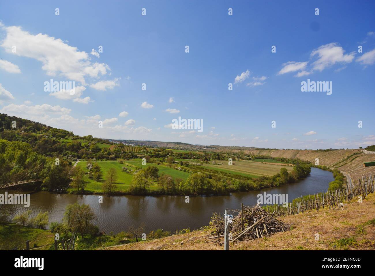 Vigneto che domina il fiume Neckar, paesaggio di Hessigheim, Germania Foto Stock