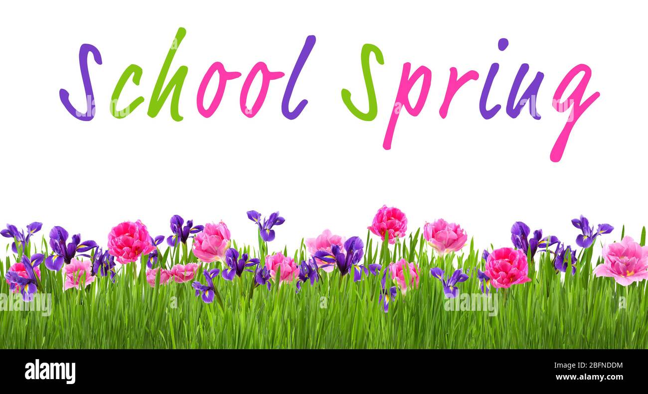 Testi SCUOLA PRIMAVERA e fiori su sfondo bianco. Concetto di formazione supplementare Foto Stock