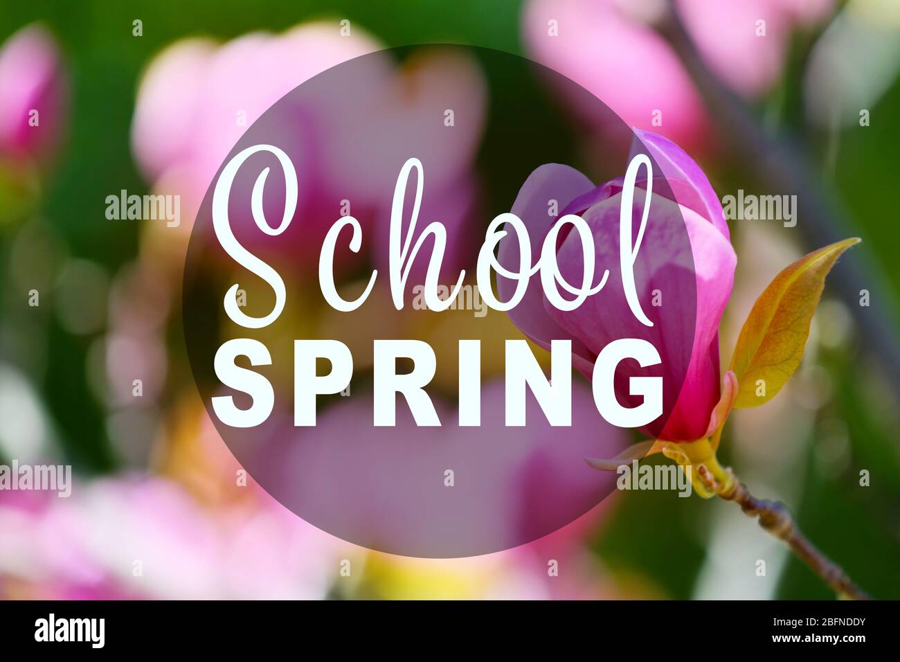 Testo SCUOLA PRIMAVERA su sfondo natura. Concetto di formazione supplementare Foto Stock