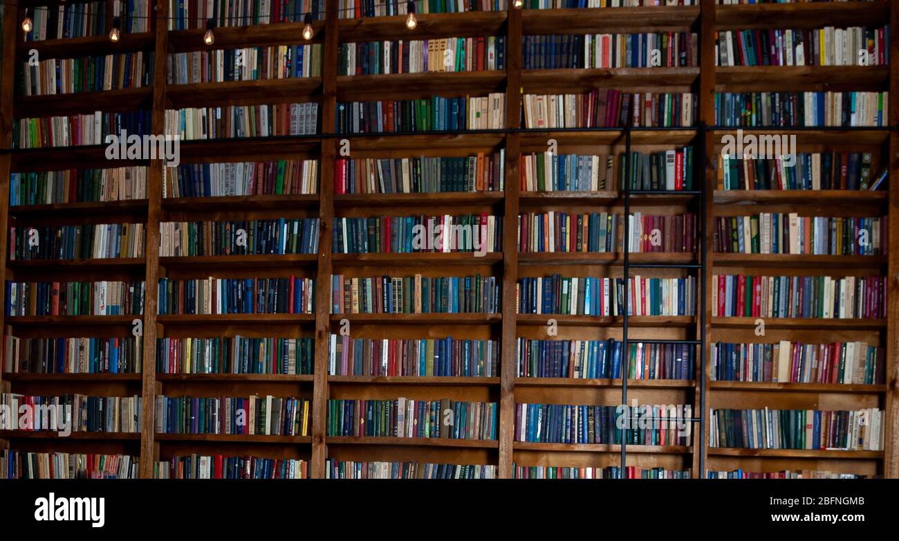 Librerie nella biblioteca. Sfondo del libro. Grande libreria con molti libri. Divano in camera per leggere libri. Biblioteca o negozio con librerie. Foto Stock