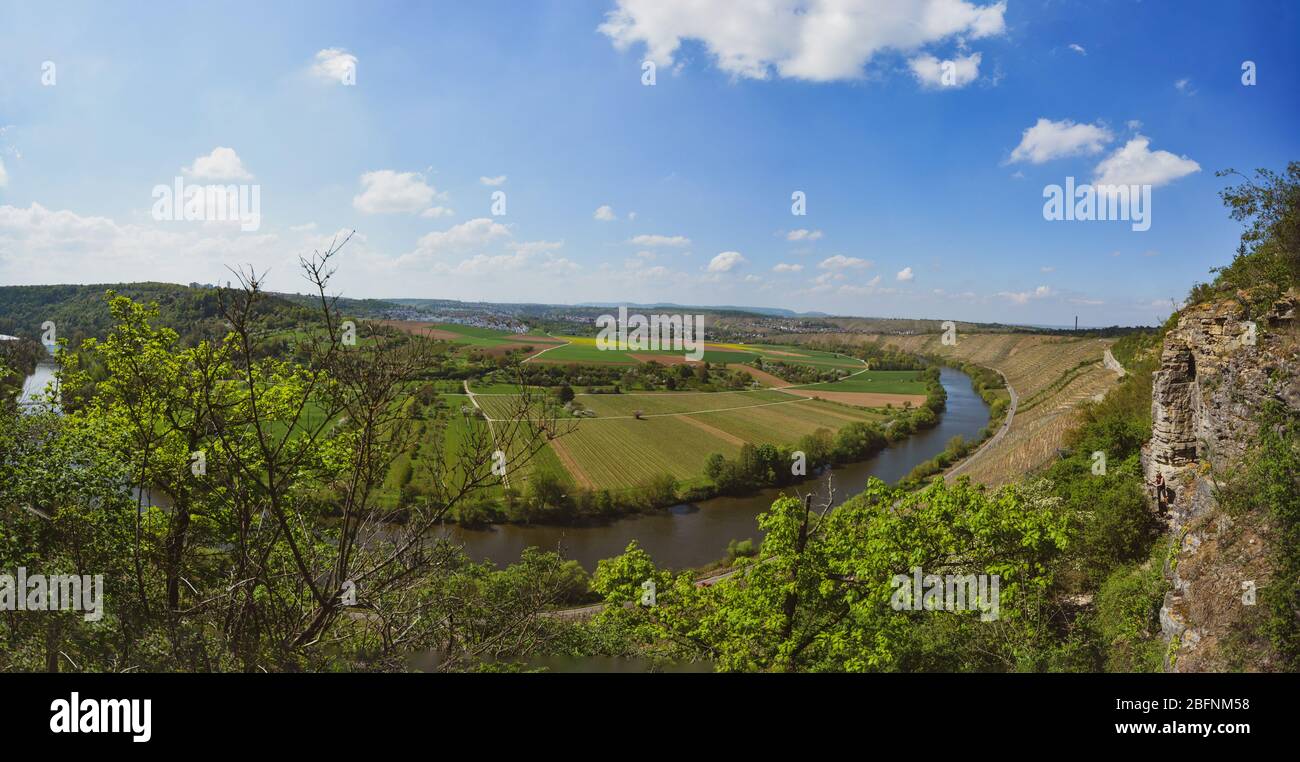 Vigneto che domina il fiume Neckar, paesaggio di Hessigheim, Germania - Panorama Foto Stock