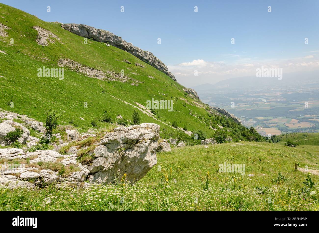 Bella vista del verde paesaggio montano durante la stagione estiva, mentre escursioni a le Reculet in Jura Mountains, Francia Foto Stock