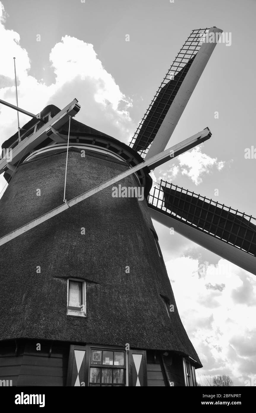 Mulino fuori da Rotterdam Foto Stock