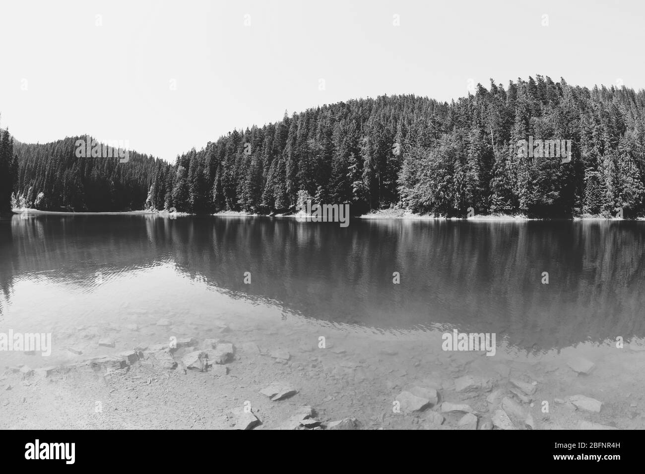 Sfondo bianco e nero Foto Stock