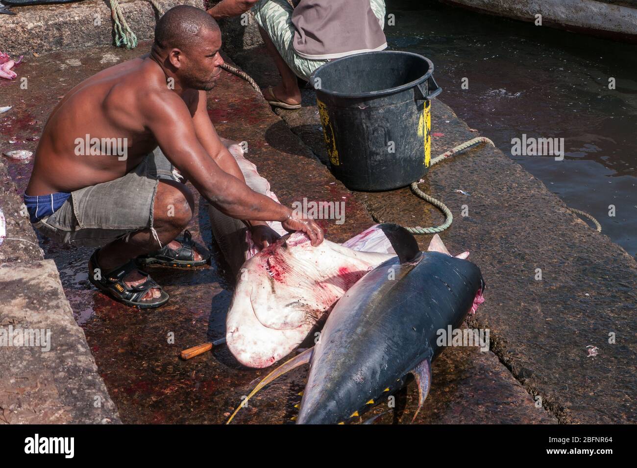 Palmeira, Capo Verde - Dicembre 2011: Il pescatore sta tagliando uno squalo sul mercato del pesce Foto Stock